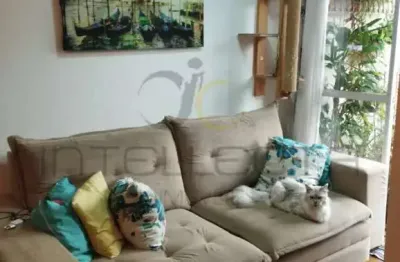 Apartamento para venda, 2 quarto(s),  cambuci, são paulo - ap2656