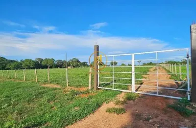 Chácara / sítio com 2 quartos à venda na Rua Itu, 1, Setor Central, Cezarina