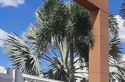 Apartamento à venda no bairro residencial itamaracá - goiânia/go