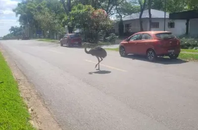 Terreno à venda no bairro residencial aldeia do vale - goiânia/go