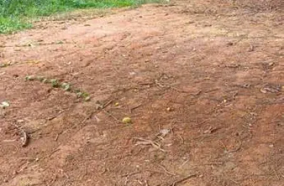 Terreno à venda no Nova Tijuca, Coronel Fabriciano 