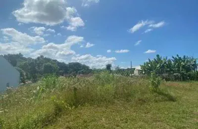 Imóvel para venda tem 1112 metros quadrados em floresta - joinville - sc