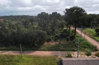 Terreno para venda possui 720 metros quadrados em Praia do Ervino - São Francisco do Sul - SC