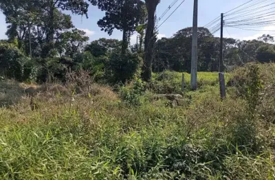 Terreno para venda possui 720 metros quadrados em praia do ervino - são francisco do sul - sc