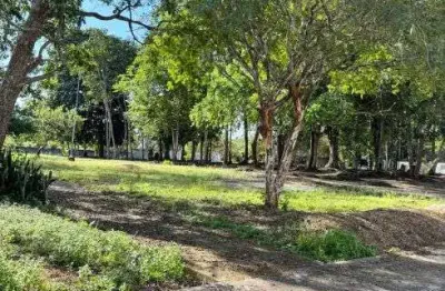 Itapuaranga lote de 800m2 sua oportunidade de morar na ponta negra