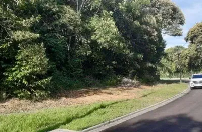 Terreno à venda na Rua Thales Loureiro, SN, Ponta Negra, Manaus