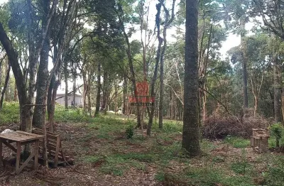 Terreno à venda na estrada principal do espigão das antas, areia branca dos assis, mandirituba por r$ 200.000