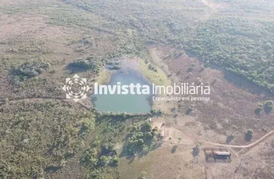 Fazenda aberta em pasto.área total: 310 alqueires área aberta: 260 alqueires