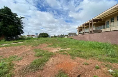 Terreno comercial à venda, plano diretor norte, palmas - te0687.