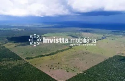 Ótima oportunidade! fazenda (1.338,80 hectares)276,5 alqueirão próximo a dueré-to e lagoa da confusão-to