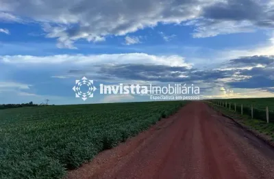 Fazenda plantando soja área total: 4.552 hectares (940 alqueires) área aberta: 1800 hectares plantando (chega a 2.500ha)