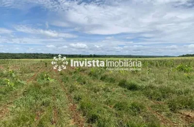 Fazenda no vale do araguaia com área de 682,71 hectares e aproximadamente 500 hectares em lavoura divinópolis -to