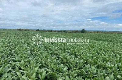 Fazenda no vale do araguaia- dois irmãos-to. area total: 234 alqueires