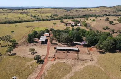 Fazenda localizada em uma das regiões com maior altitude do estado-área total: 1.190 hectares (246 alqueires)