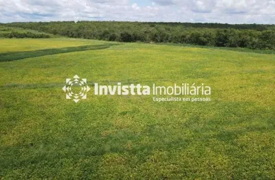 Fazenda de 445 alqueires ou 2153 hectares 800 hectares plantando soja à 6 anos- PEDRO AFONSO-TO