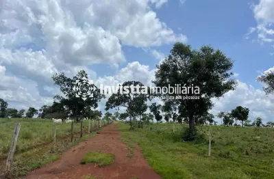 Fazenda à venda, 217 alqueires R$ 14.000.000,00- Centro - Divinópolis do Tocantins/TO