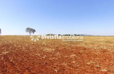 Fazenda à venda, 201 Alqueires por R$ 25.000.000 em Santa Rita do Tocantins/TO