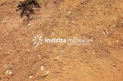 Fazenda à venda40 alqueires R$ 3.200.000 - Luzimangues - Porto Nacional/TO