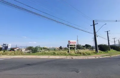 Terreno comercial para alugar na Rua Margarida Kubinski Vaz, Boa Vista, Ponta Grossa