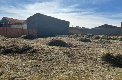 Terreno comercial para alugar na Rua Ismael Calixto, Uvaranas, Ponta Grossa