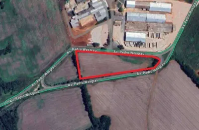 Terreno comercial para alugar na Avenida Pedro Wosgrau, Cará-cará, Ponta Grossa