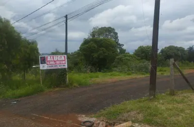 Terreno comercial para alugar na Rua Padre Anchieta, Colônia Dona LuÍza, Ponta Grossa