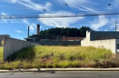 Terreno comercial para alugar na Avenida Monteiro Lobato, Jardim Carvalho, Ponta Grossa