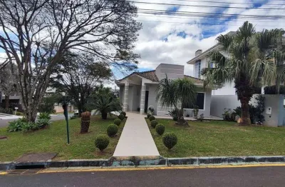 Casa com 3 quartos para alugar na Rua Doutor Leopoldo Guimarães da Cunha, Oficinas, Ponta Grossa