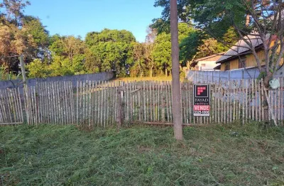 Terreno à venda na Rua Edison Ribeiro, Piriquitos, Ponta Grossa