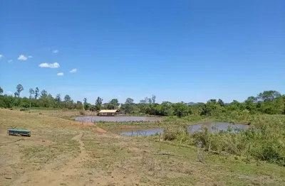 Chácara / sítio com 1 quarto à venda na saída nova veneza - inhumas acesso de chão para damolândia, 1, área rural de brazabrantes, brazabrantes, 193600 m2 por r$ 2.500.000