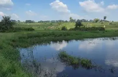 Chácara / sítio com 4 quartos à venda na Fazenda Municipio De Xinguara Pará, 1, São Francisco, Xinguara