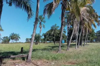 Chácara / sítio com 2 quartos à venda na Zona Rural, 10, Zona Rural, Varjão