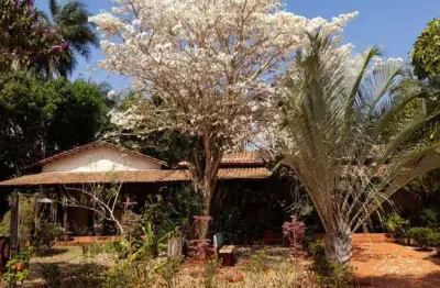 Chácara / sítio com 5 quartos à venda na Rua Vicinal 3, Sítios Olhos D'agua, Senador Canedo