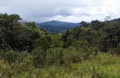 Vendo terreno em luiz alves no braço joaquim com duas nascentes e escritura pública.