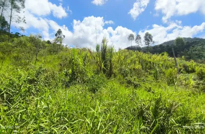 Vendo terreno rural em luiz alves no laranjeiras com 2.000m2 por apenas 129.000,00