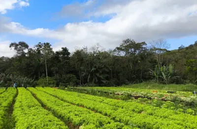 Vendo terreno rural em luiz alves no alto máximo com córrego, horta e área pronta para constuir.