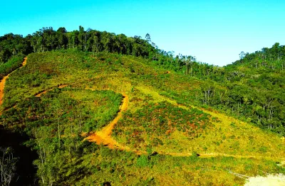 Vendo terreno para sitio em Luiz Alves a poucos metros da rodovia e poucos minutos do centro da cidade.