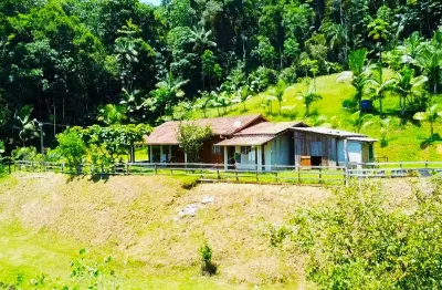 Chácara / sítio com 3 quartos à venda na Rua Onze de Novembro, Treze de Maio Baixo, Massaranduba