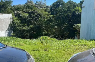 Terreno à venda, 250 m² por r$ 300.000,00 - mosaico da serra - mogi das cruzes/sp