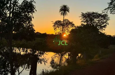Fazenda com 7 dormitórios à venda, 23304000 m² por R$ 60.000.000,00 - Zona Rural - Alto Boa Vista/MT