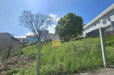 Terreno à venda no Caminho da Eulália, Bento Gonçalves 