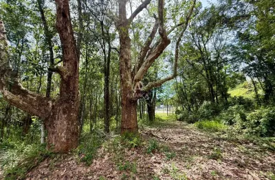 Oportunidade - terreno em condomínio - santo antão - bento gonçalves - rs