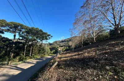 Terreno à venda no Barracão, Bento Gonçalves 
