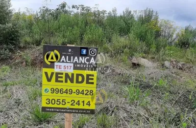 Terreno à venda no Barracão, Bento Gonçalves 