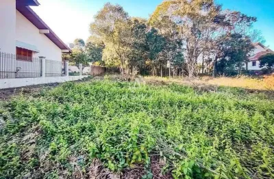 Terreno à venda no Santo Antão, Bento Gonçalves 