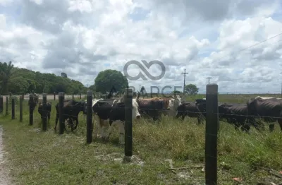 Fazenda com 1 sala à venda na Praça Quinze de Novembro, 1, Zona Rural, Canavieiras