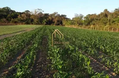 Chácara / sítio com 2 quartos à venda na Área Rural, 01, Zona Rural, Cuiabá