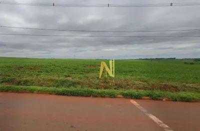 Terreno à venda, 217800 m² por r$ 17.424.000,00 - perobinha - londrina/pr