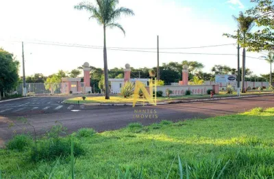 Terreno à venda, 250 m² no condomínio barra forest - zona norte - londrina/pr