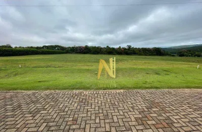 Terreno à venda, 2505 m² por r$ 568.000 - rodovia - sertanópolis/pr